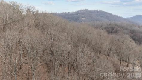 99999 Haynes Cove Clyde NC 28721