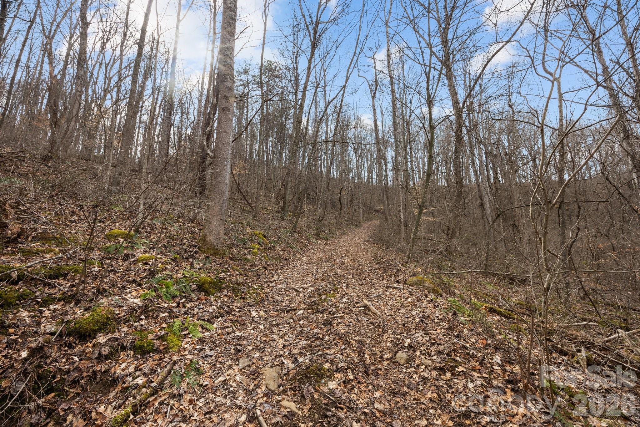 99999 Haynes Cove Clyde NC 28721