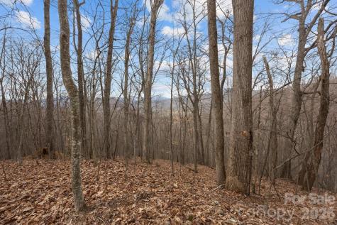 99999 Haynes Cove Clyde NC 28721