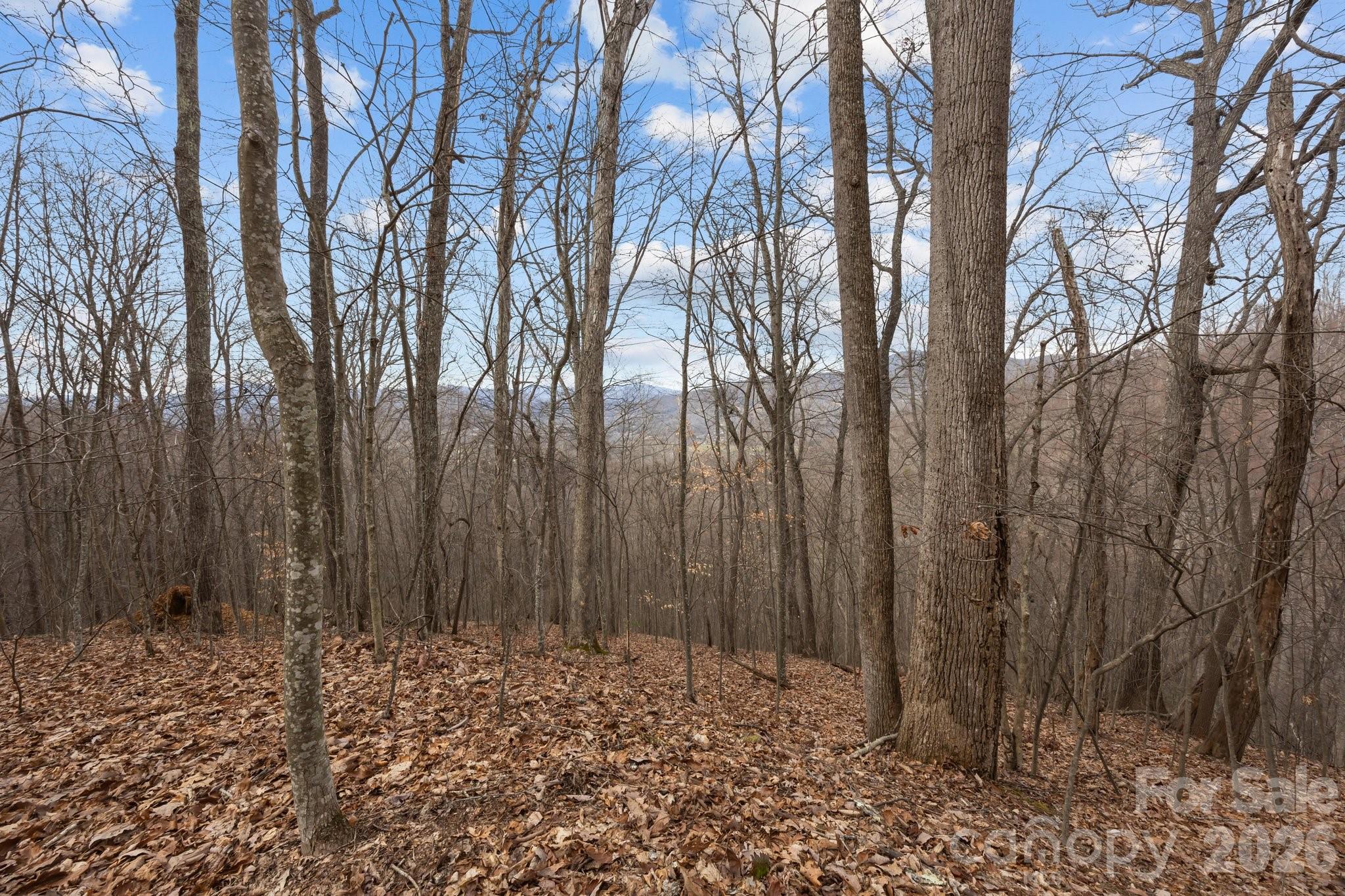 99999 Haynes Cove Clyde NC 28721
