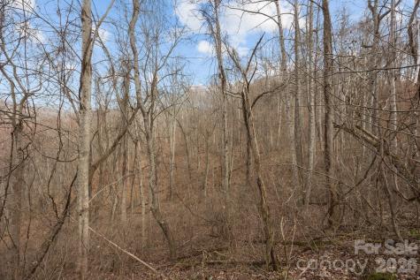 99999 Haynes Cove Clyde NC 28721