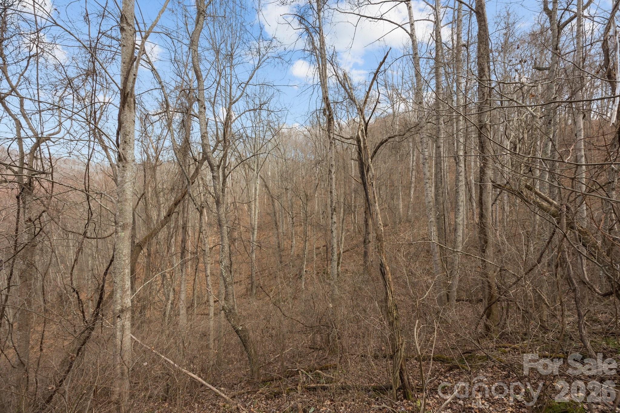 99999 Haynes Cove Clyde NC 28721
