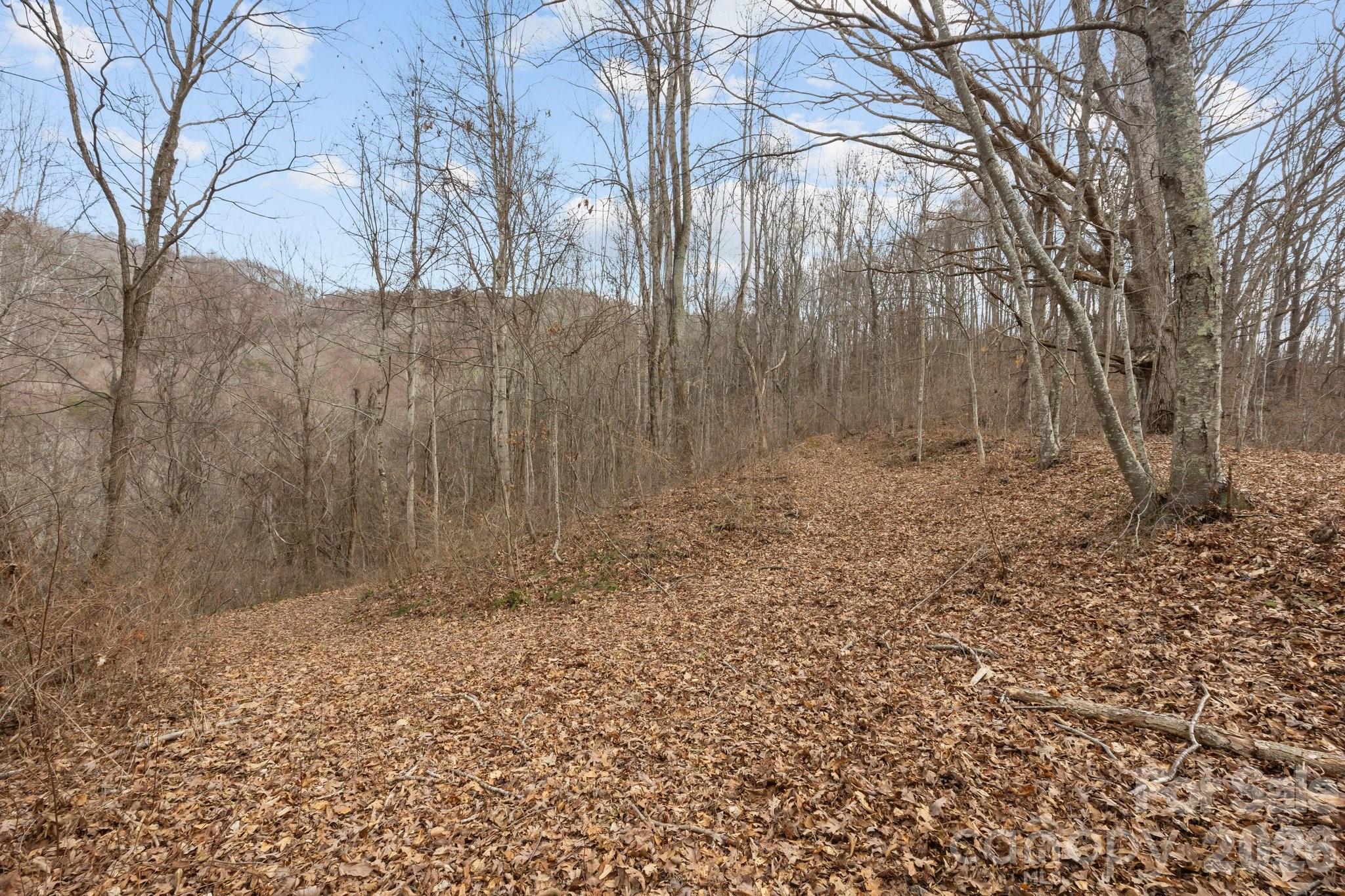 99999 Haynes Cove Clyde NC 28721
