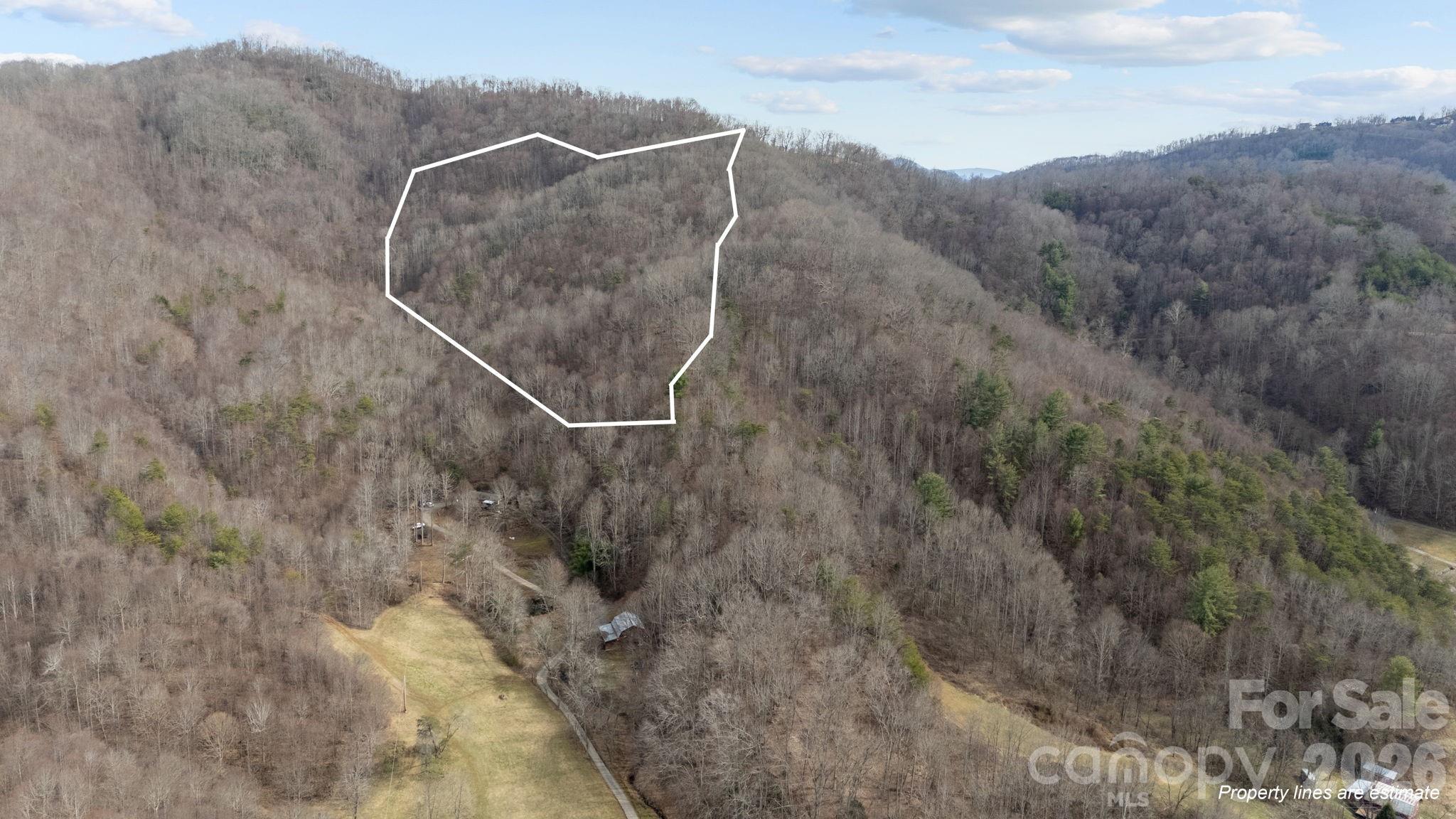 99999 Haynes Cove Clyde NC 28721