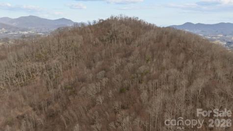 99999 Haynes Cove Clyde NC 28721