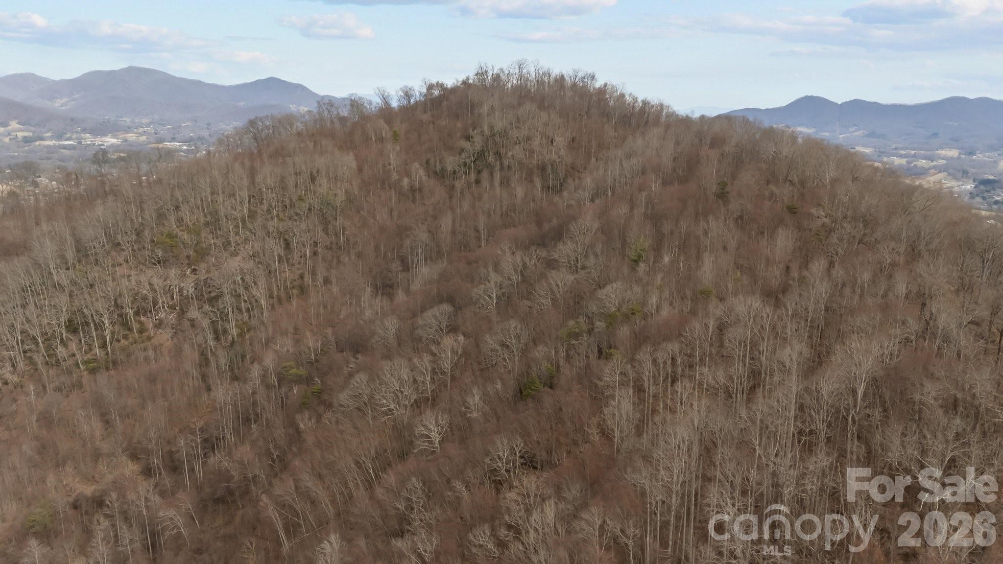 99999 Haynes Cove Clyde NC 28721