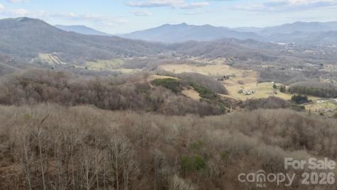 99999 Haynes Cove Clyde NC 28721