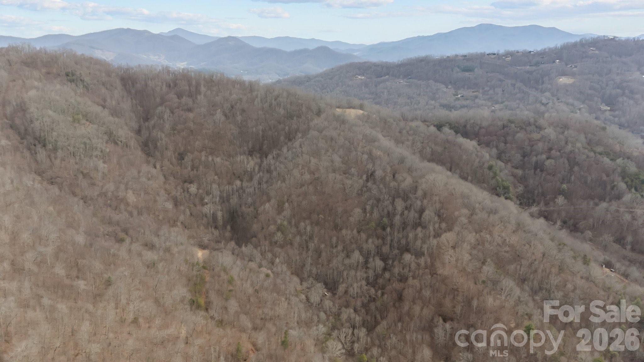 99999 Haynes Cove Clyde NC 28721