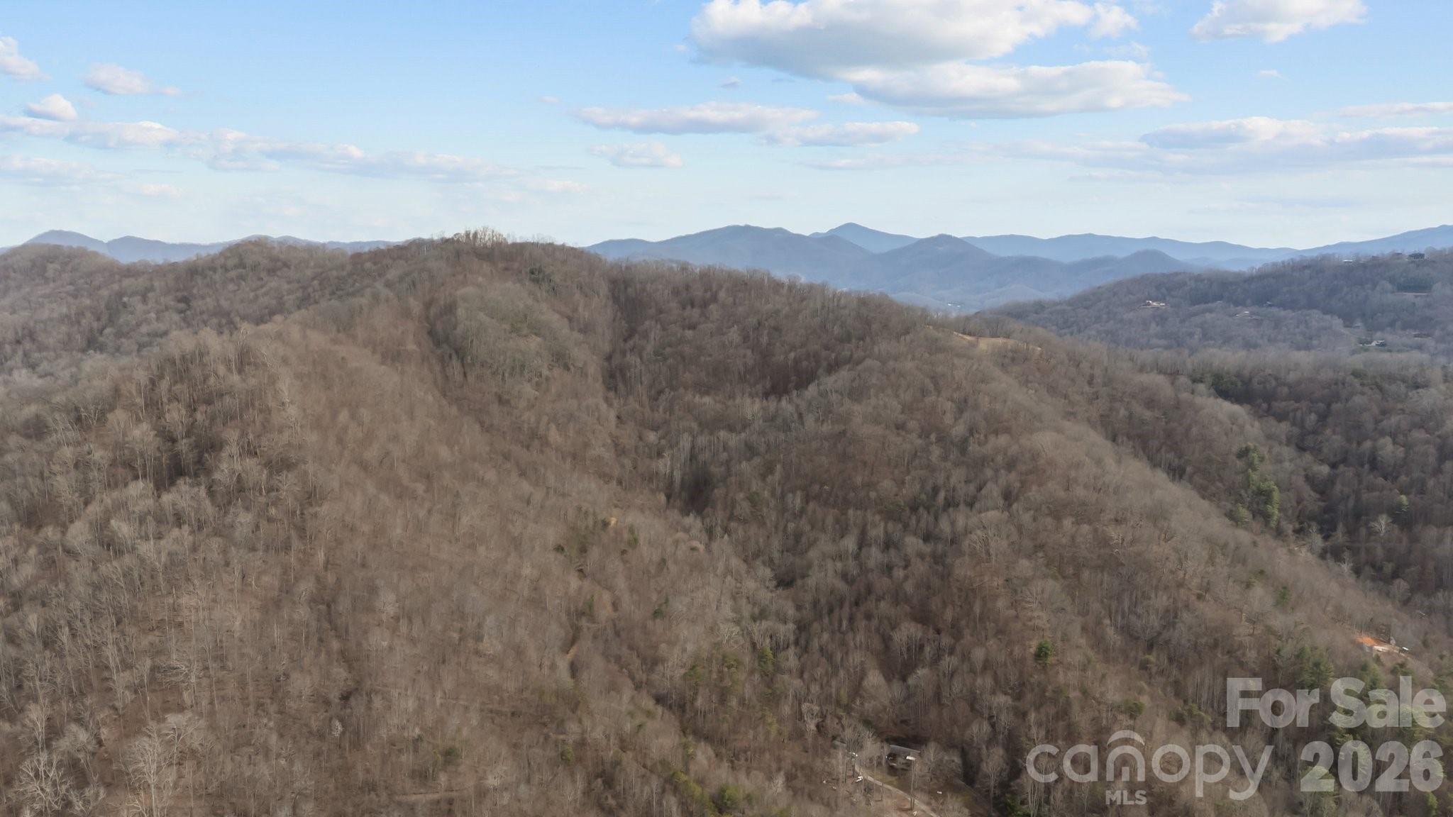 99999 Haynes Cove Clyde NC 28721