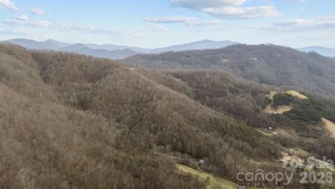 99999 Haynes Cove Clyde NC 28721