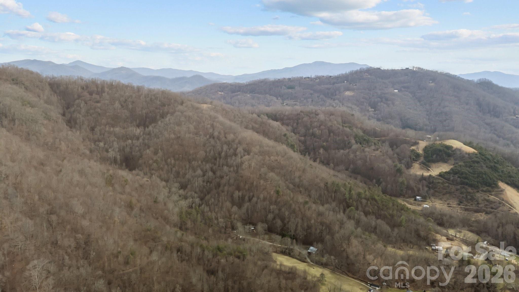 99999 Haynes Cove Clyde NC 28721