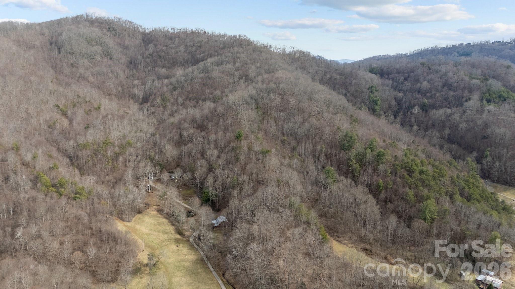 99999 Haynes Cove Clyde NC 28721