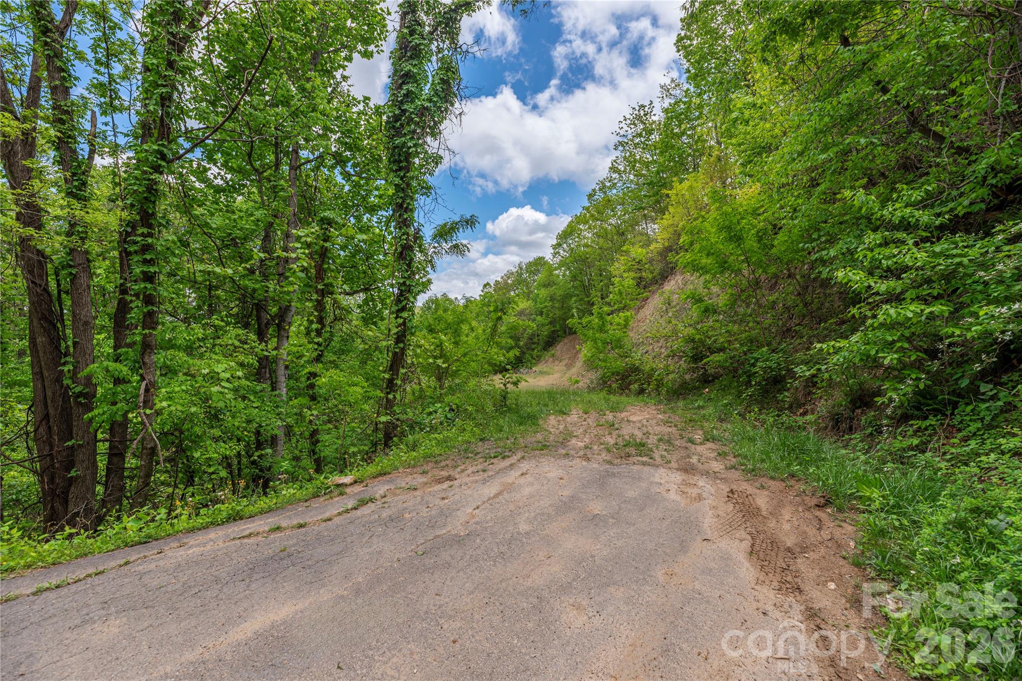 391 Valley View Drive Maggie Valley NC 28751
