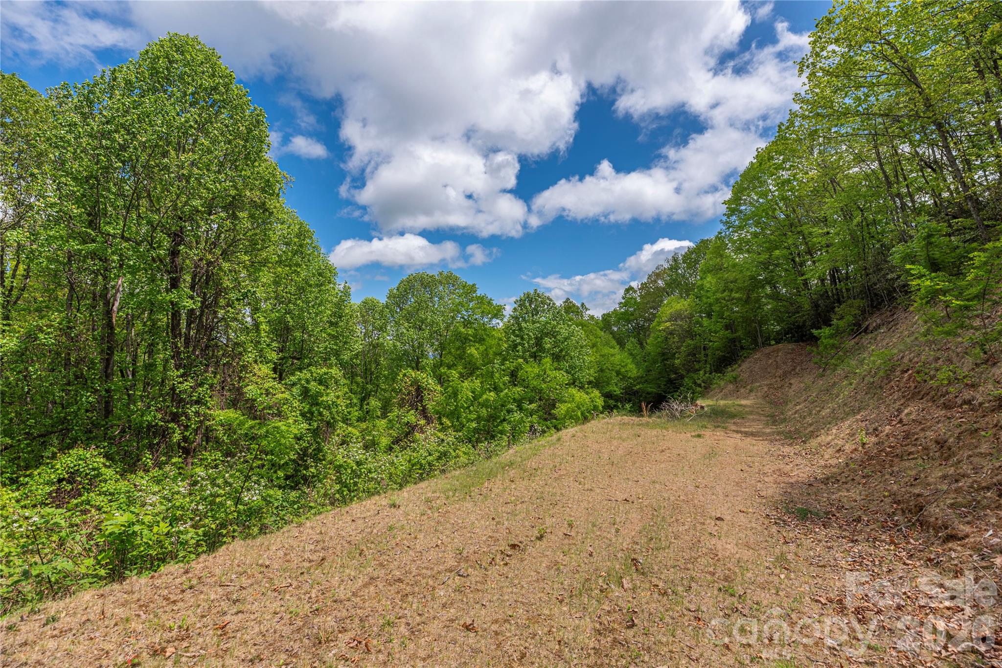 391 Valley View Drive Maggie Valley NC 28751