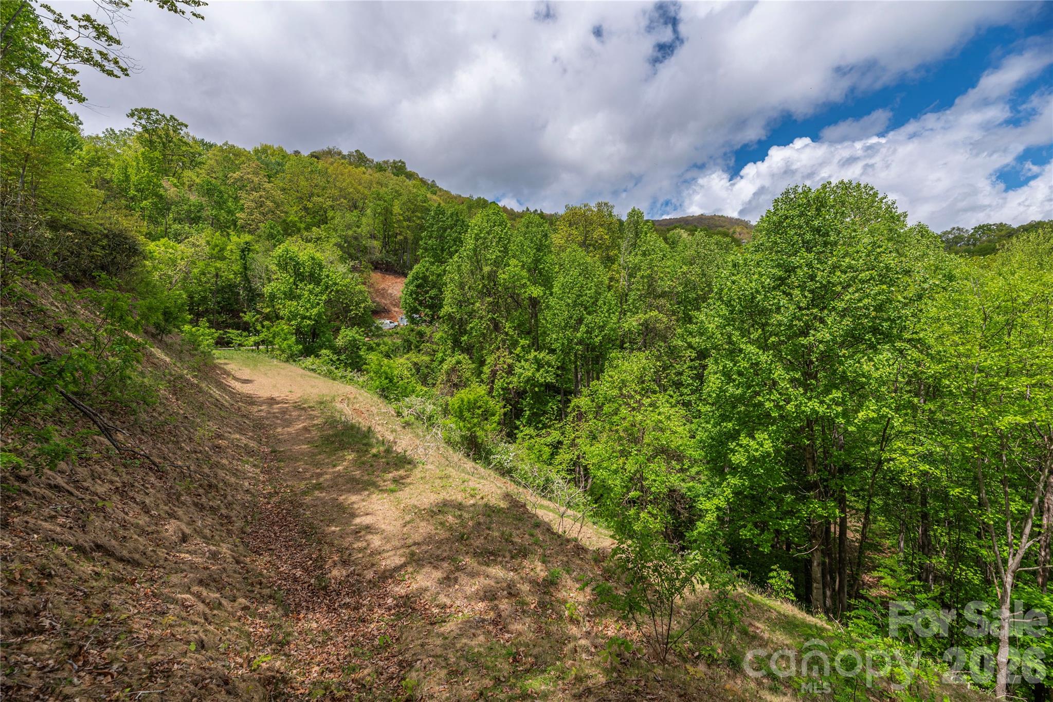 391 Valley View Drive Maggie Valley NC 28751