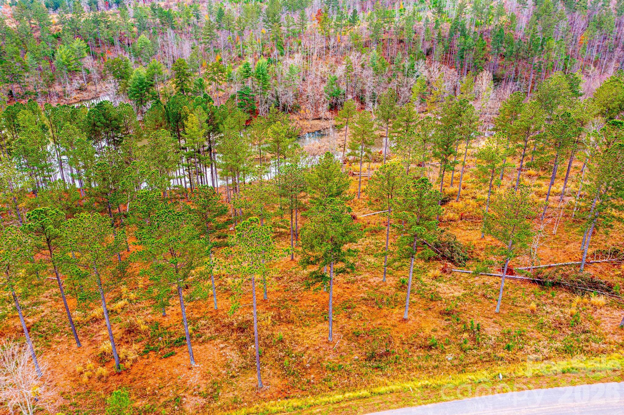 2188 Snowmass Drive Connelly Springs NC 28612