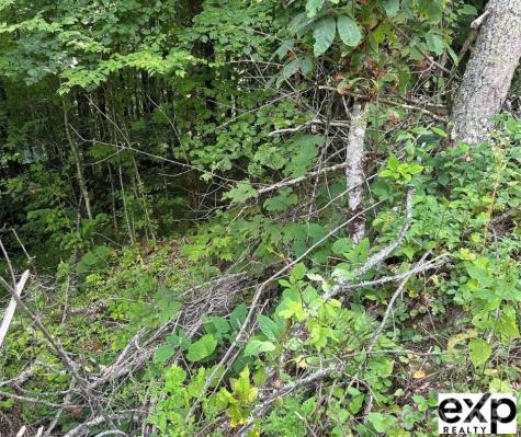 0000 Conley Drive Maggie Valley NC 28751