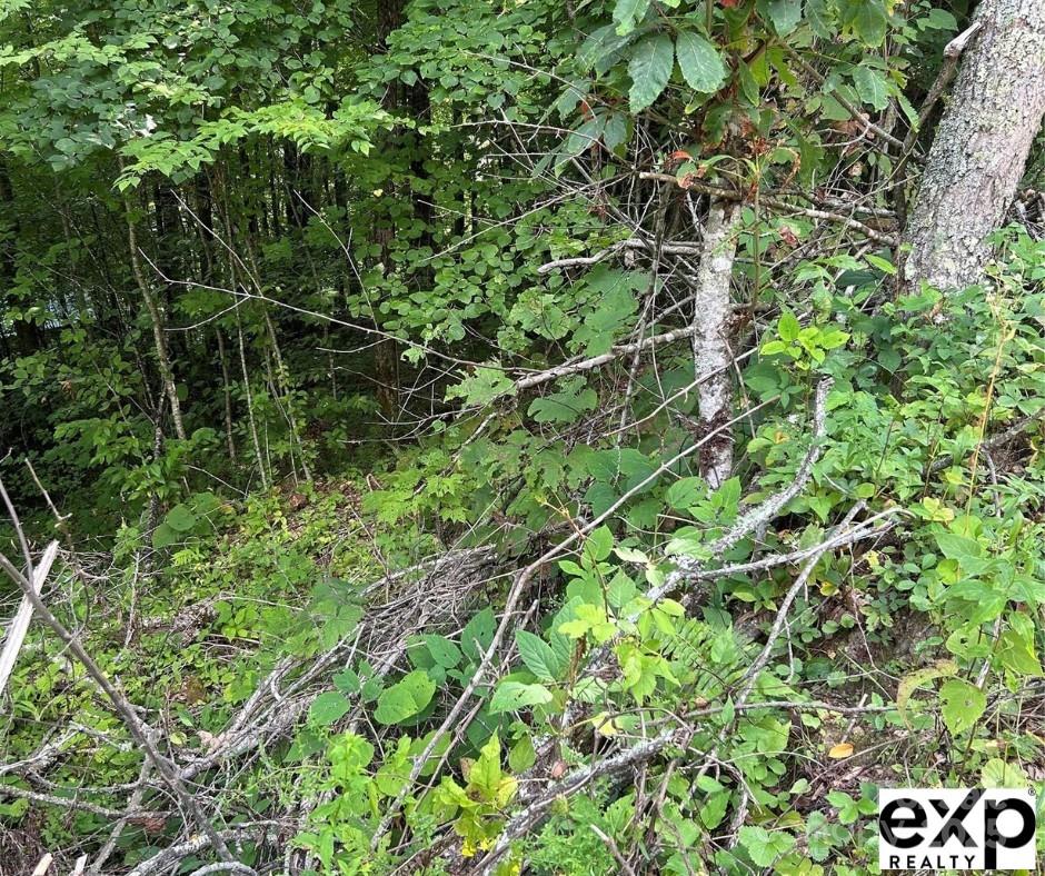 0000 Conley Drive Maggie Valley NC 28751