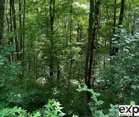0000 Conley Drive Maggie Valley NC 28751