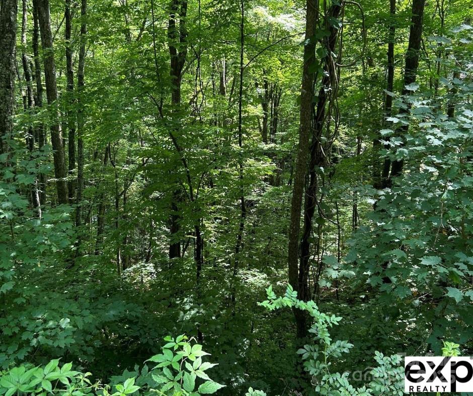 0000 Conley Drive Maggie Valley NC 28751