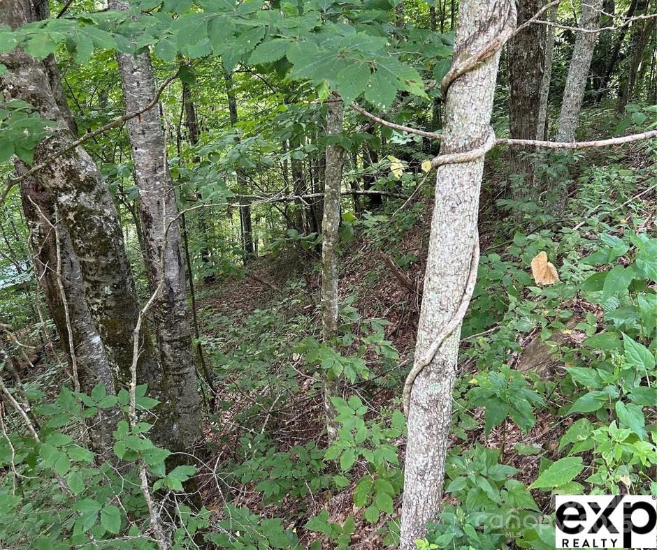 0000 Conley Drive Maggie Valley NC 28751