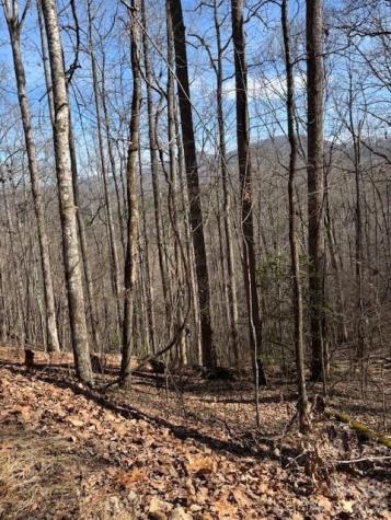 Lot 13 Henderson Road Franklin NC 28734