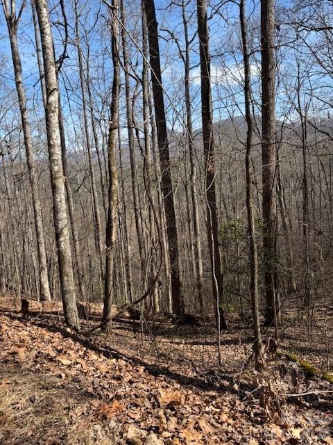 Lot 13 Henderson Road Franklin NC 28734