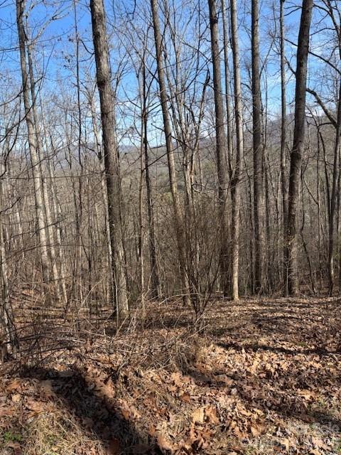 Lot 13 Henderson Road Franklin NC 28734