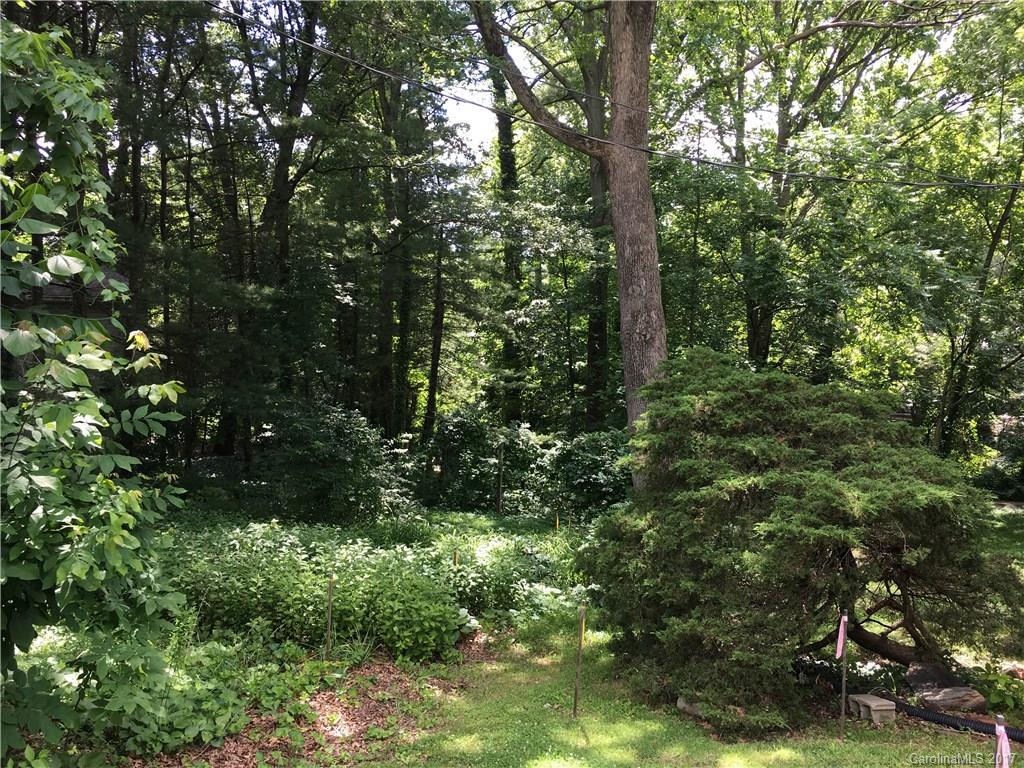 11 Saint Dunstans Circle Asheville NC 28803