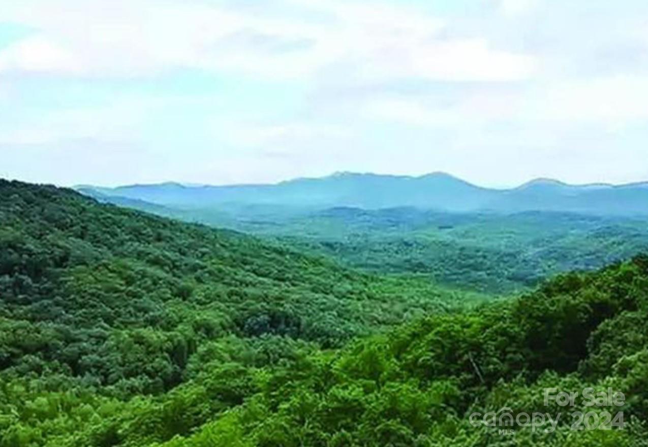 0 Hickory Nut Lane Lake Lure NC 28746