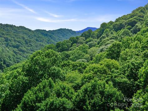 #1 Tbd Lotties Creek Road Burnsville NC 28714