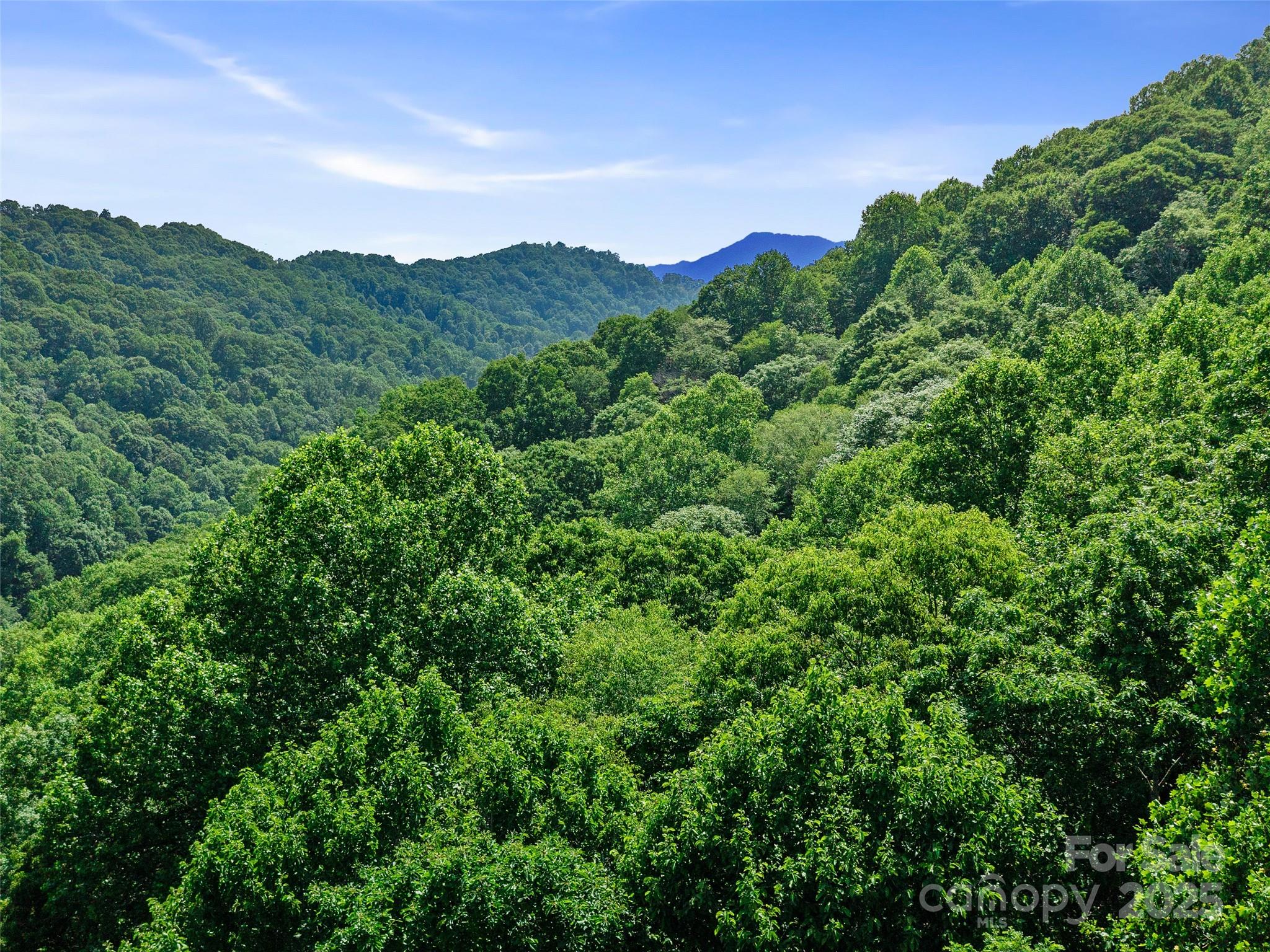 #1 Tbd Lotties Creek Road Burnsville NC 28714
