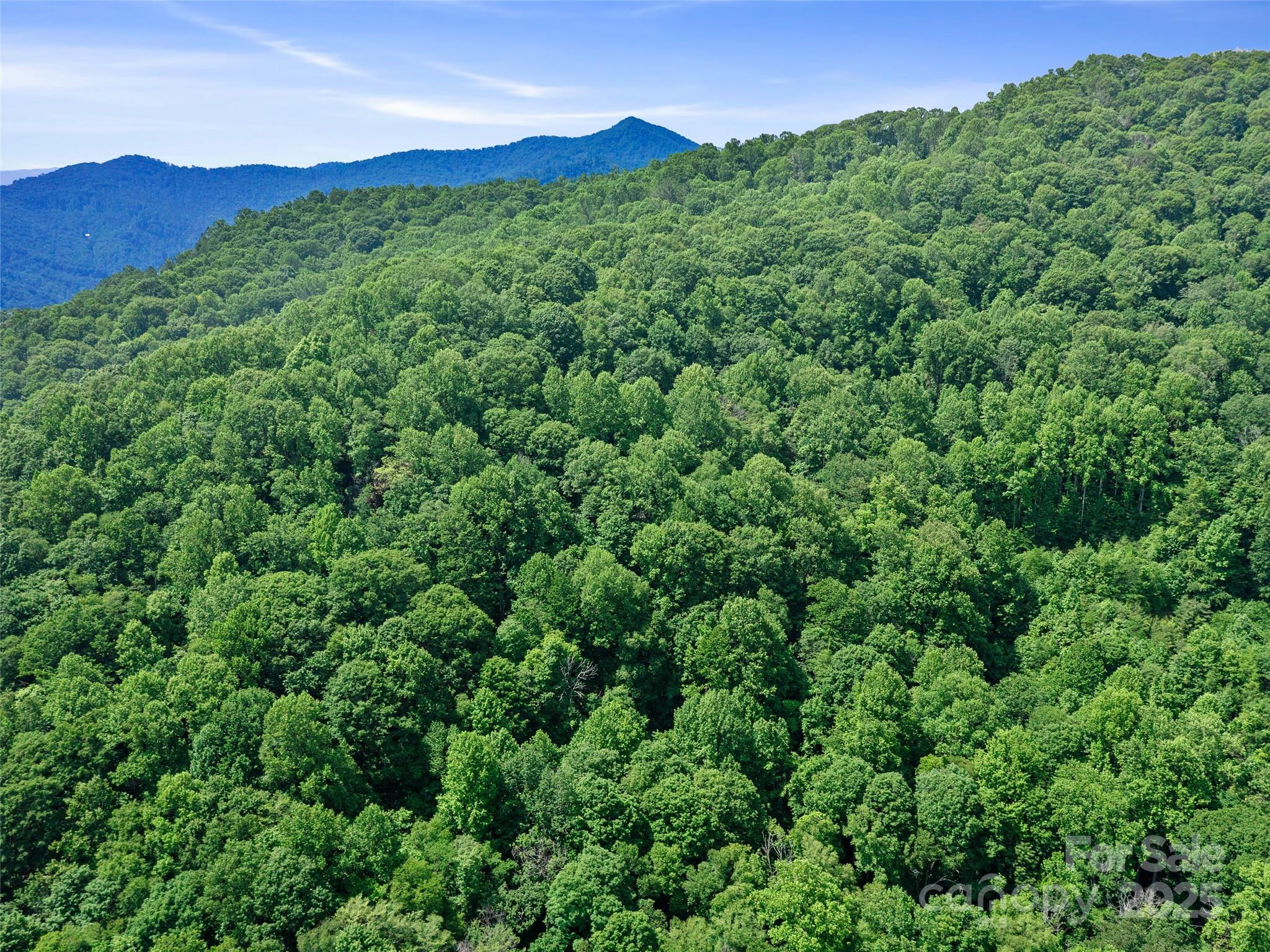 #1 Tbd Lotties Creek Road Burnsville NC 28714