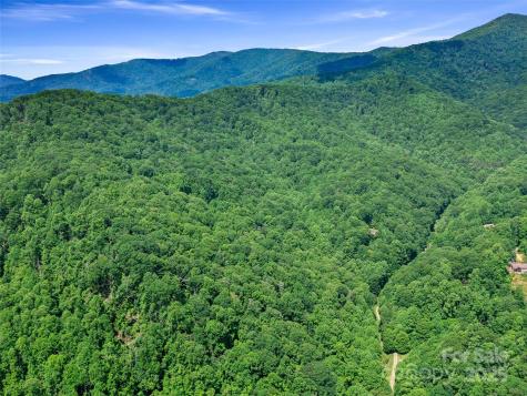 #1 Tbd Lotties Creek Road Burnsville NC 28714