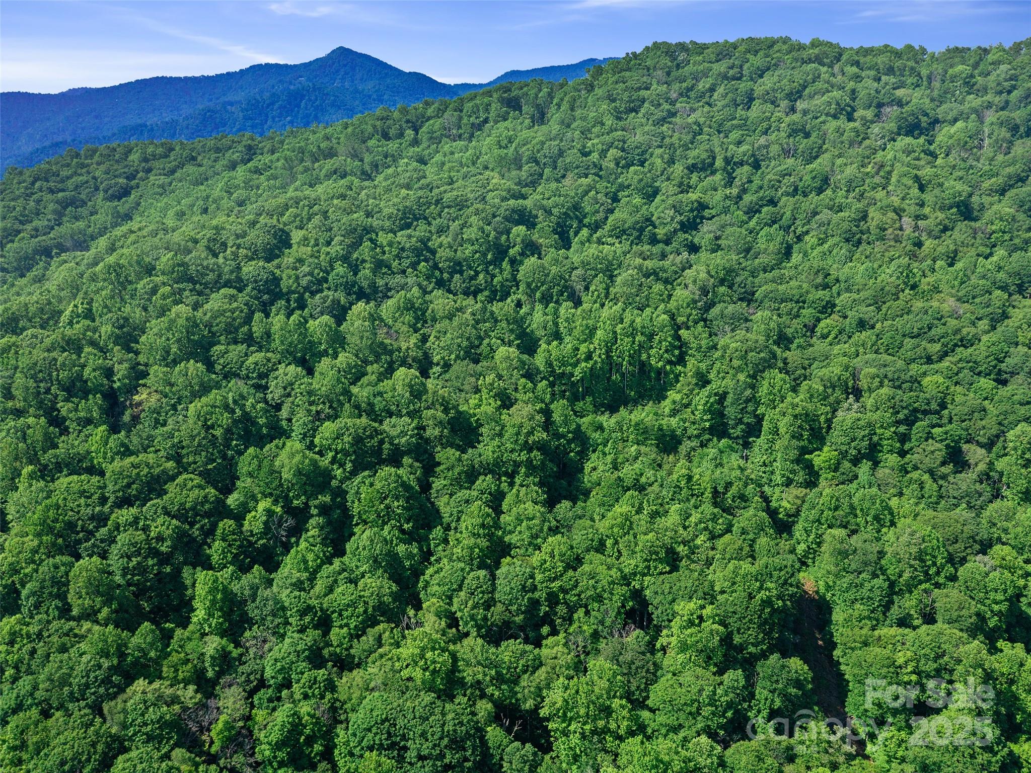 #1 Tbd Lotties Creek Road Burnsville NC 28714