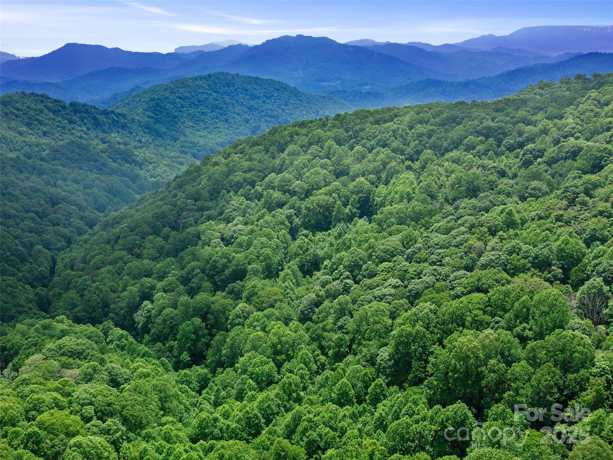 #1 Tbd Lotties Creek Road Burnsville NC 28714