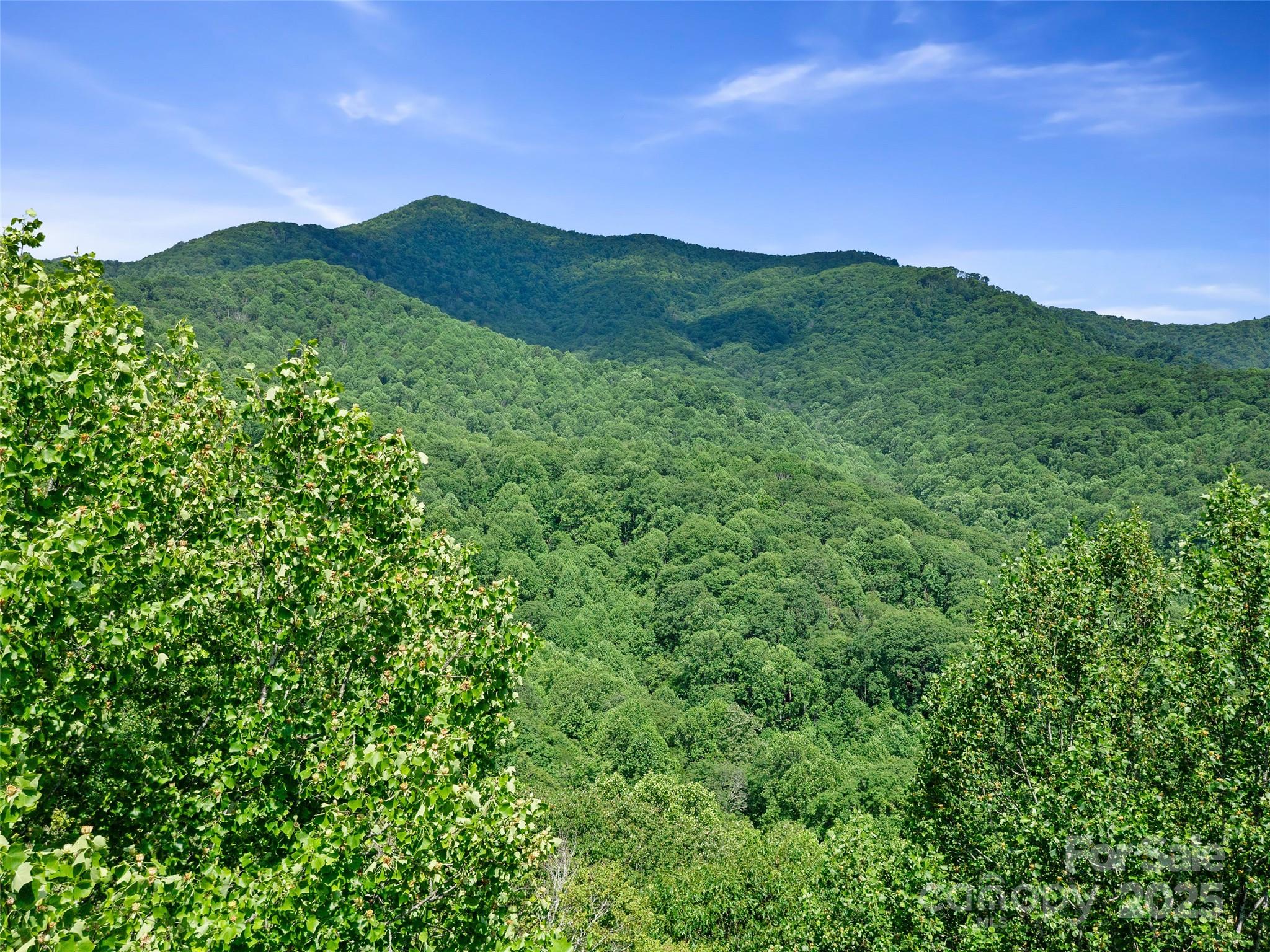 #1 Tbd Lotties Creek Road Burnsville NC 28714