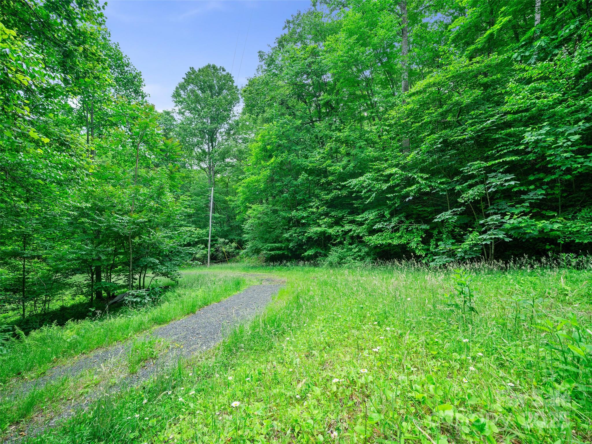 #1 Tbd Lotties Creek Road Burnsville NC 28714