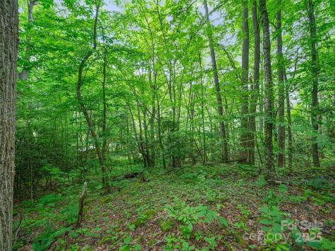 #1 Tbd Lotties Creek Road Burnsville NC 28714