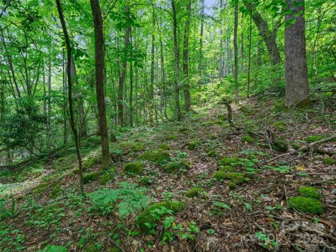 #1 Tbd Lotties Creek Road Burnsville NC 28714
