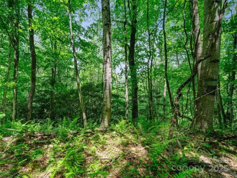 #1 Tbd Lotties Creek Road Burnsville NC 28714