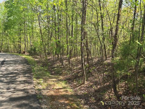 Lot 15 Touch Me Not Trail Lake Lure NC 28746