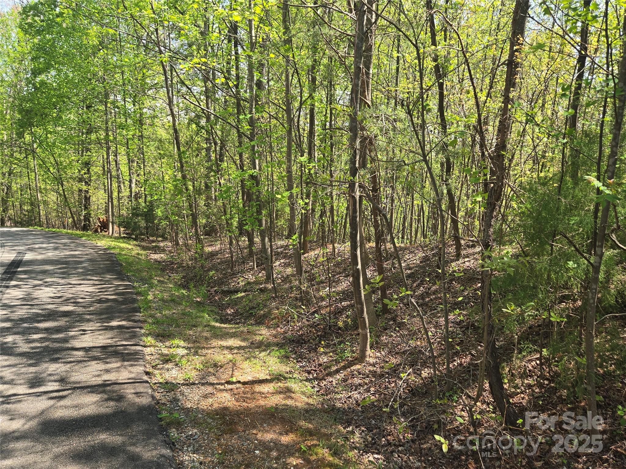 Lot 15 Touch Me Not Trail Lake Lure NC 28746