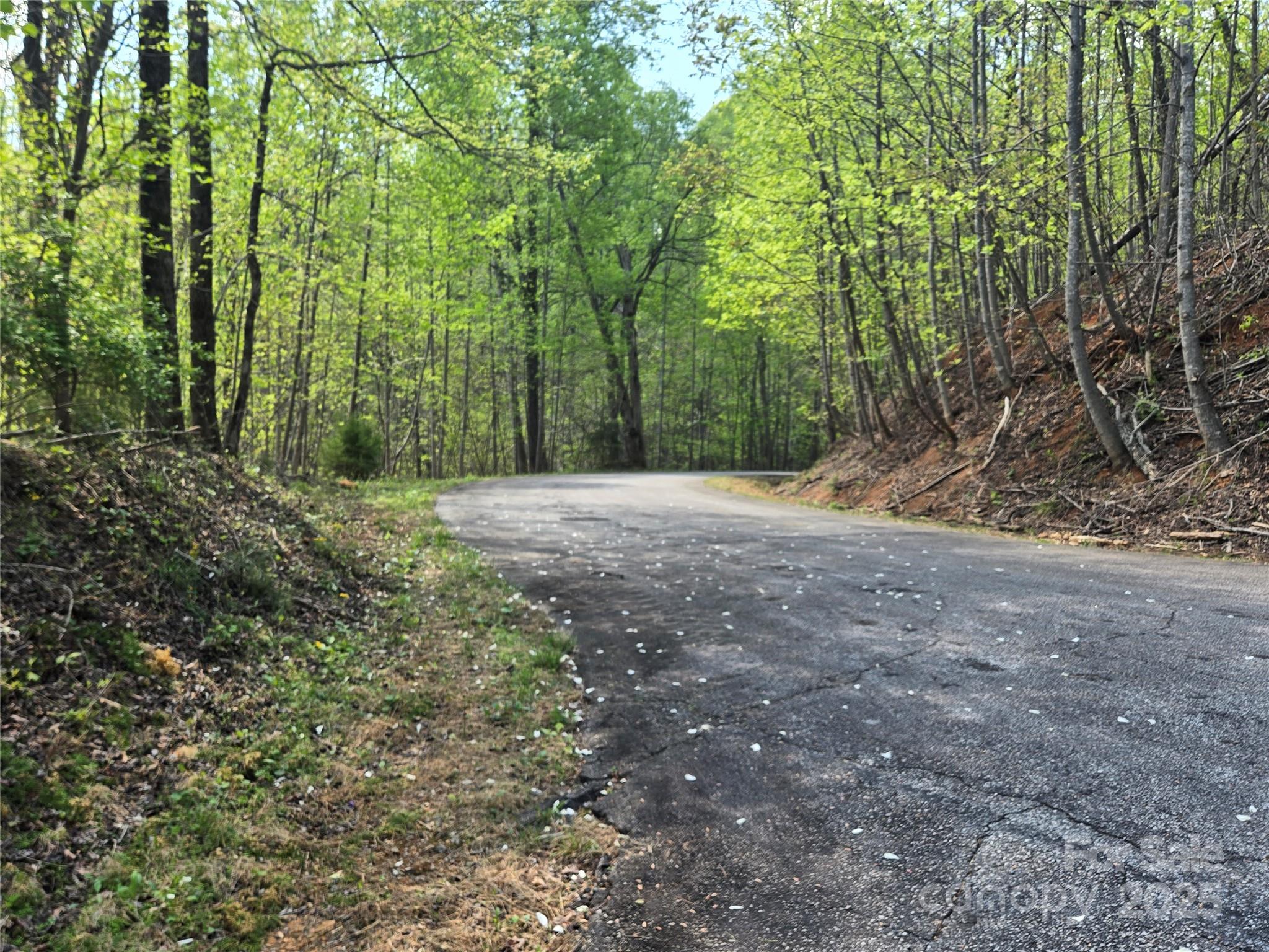 Lot 15 Touch Me Not Trail Lake Lure NC 28746