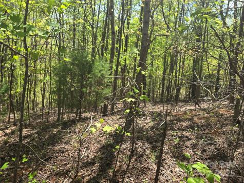 Lot 15 Touch Me Not Trail Lake Lure NC 28746