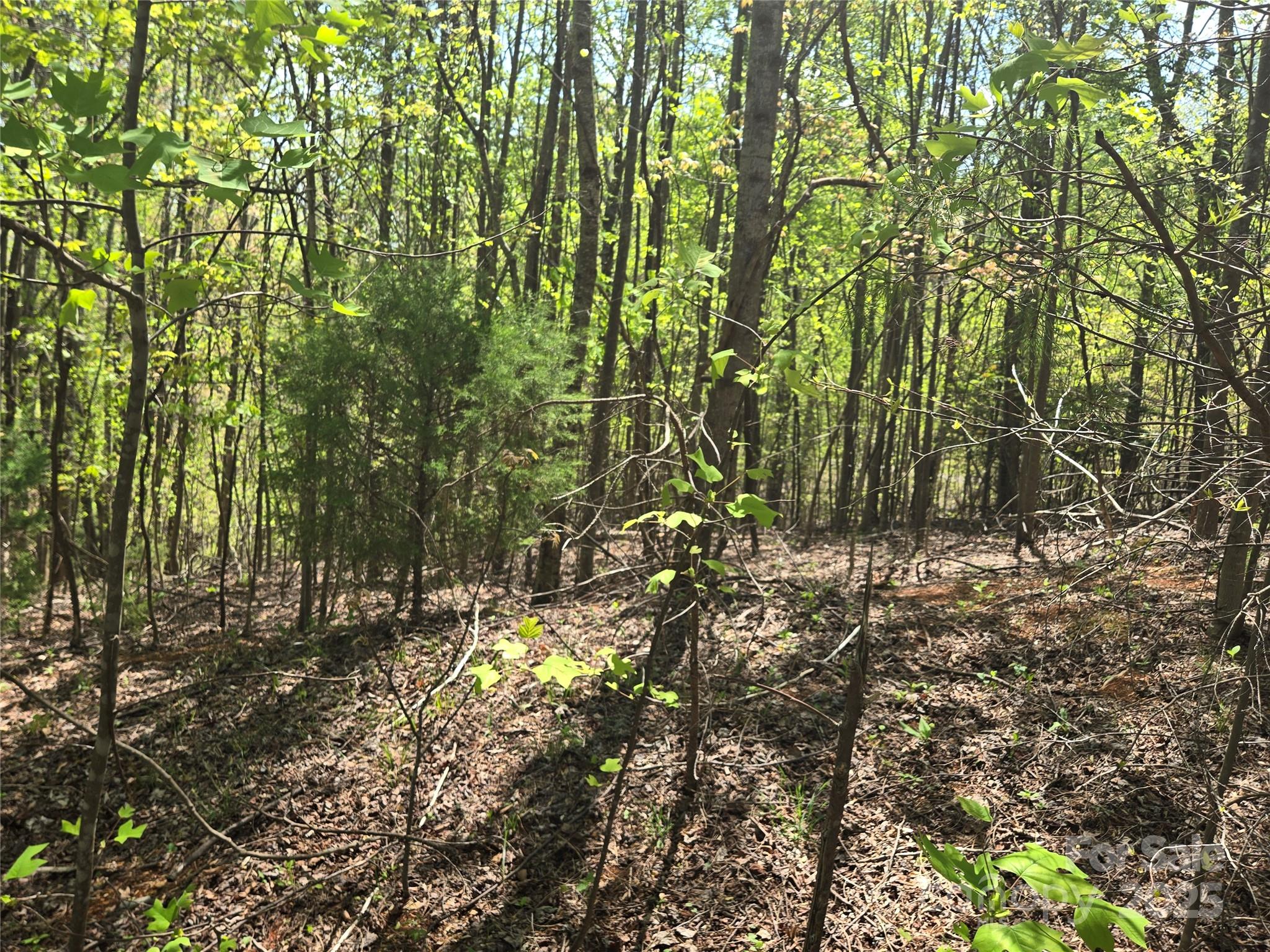 Lot 15 Touch Me Not Trail Lake Lure NC 28746