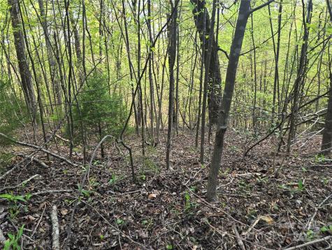 Lot 15 Touch Me Not Trail Lake Lure NC 28746