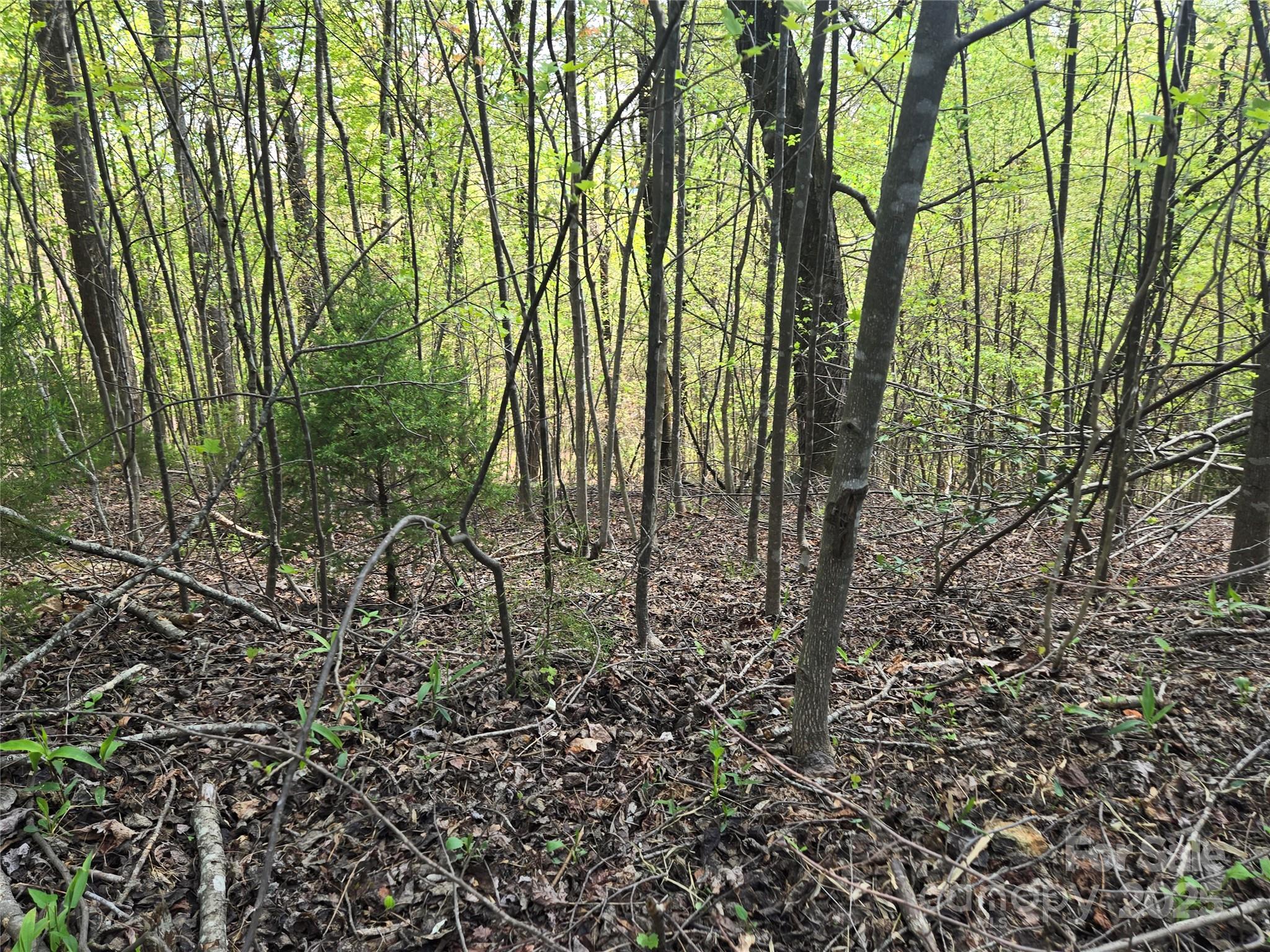 Lot 15 Touch Me Not Trail Lake Lure NC 28746