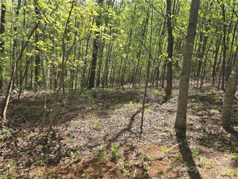 Lot 15 Touch Me Not Trail Lake Lure NC 28746