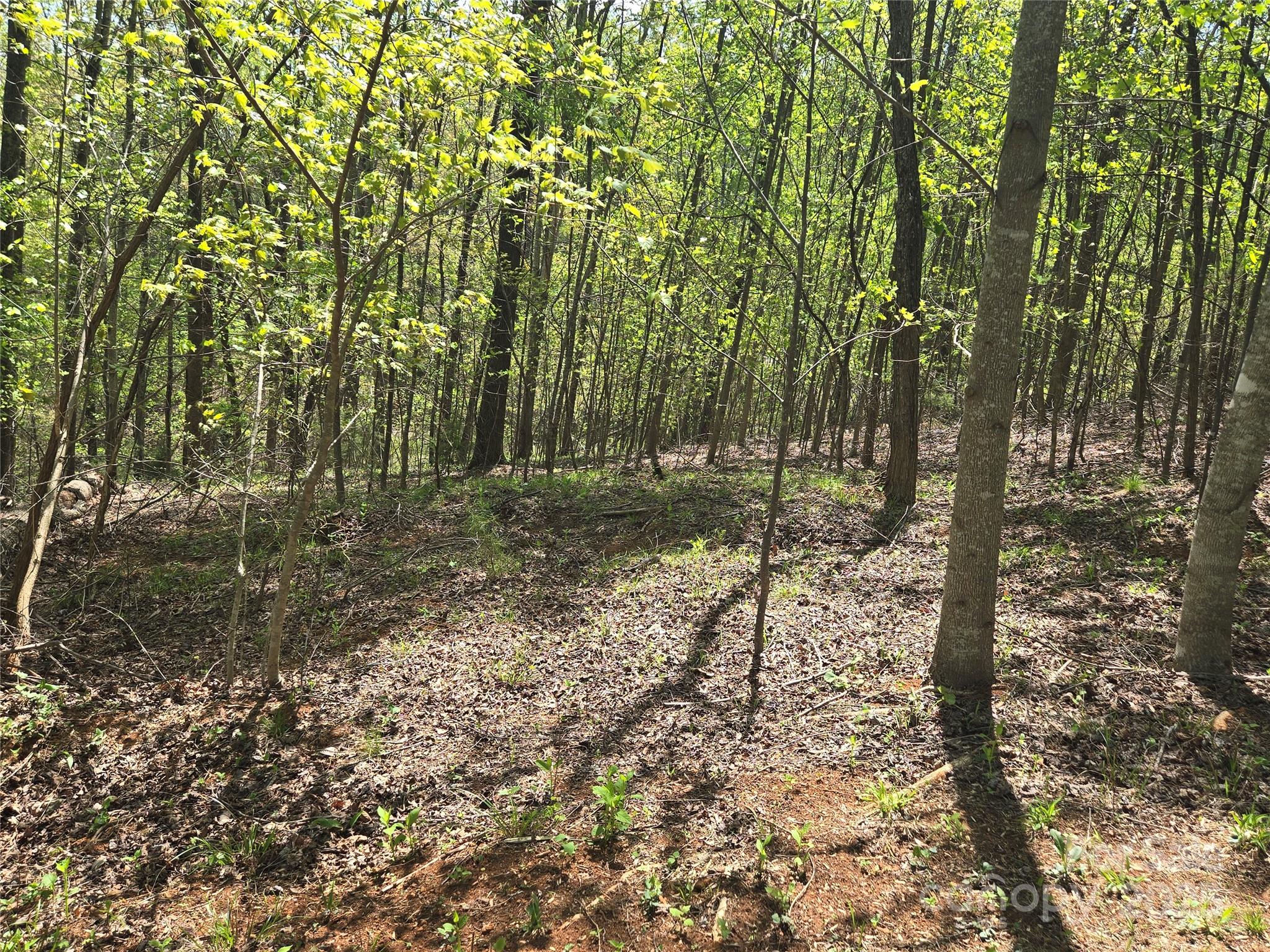 Lot 15 Touch Me Not Trail Lake Lure NC 28746